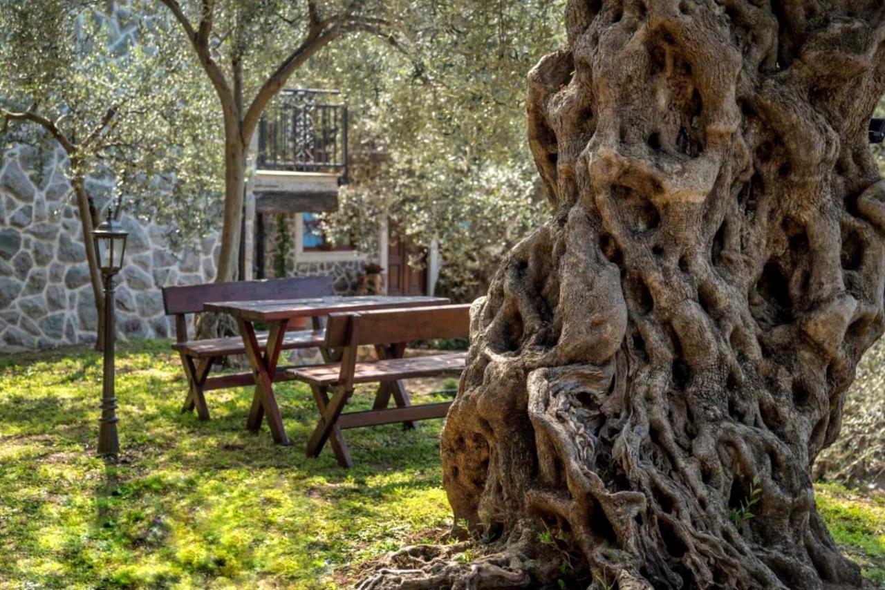 Olive Queen Rustic Estate Bar Exterior photo