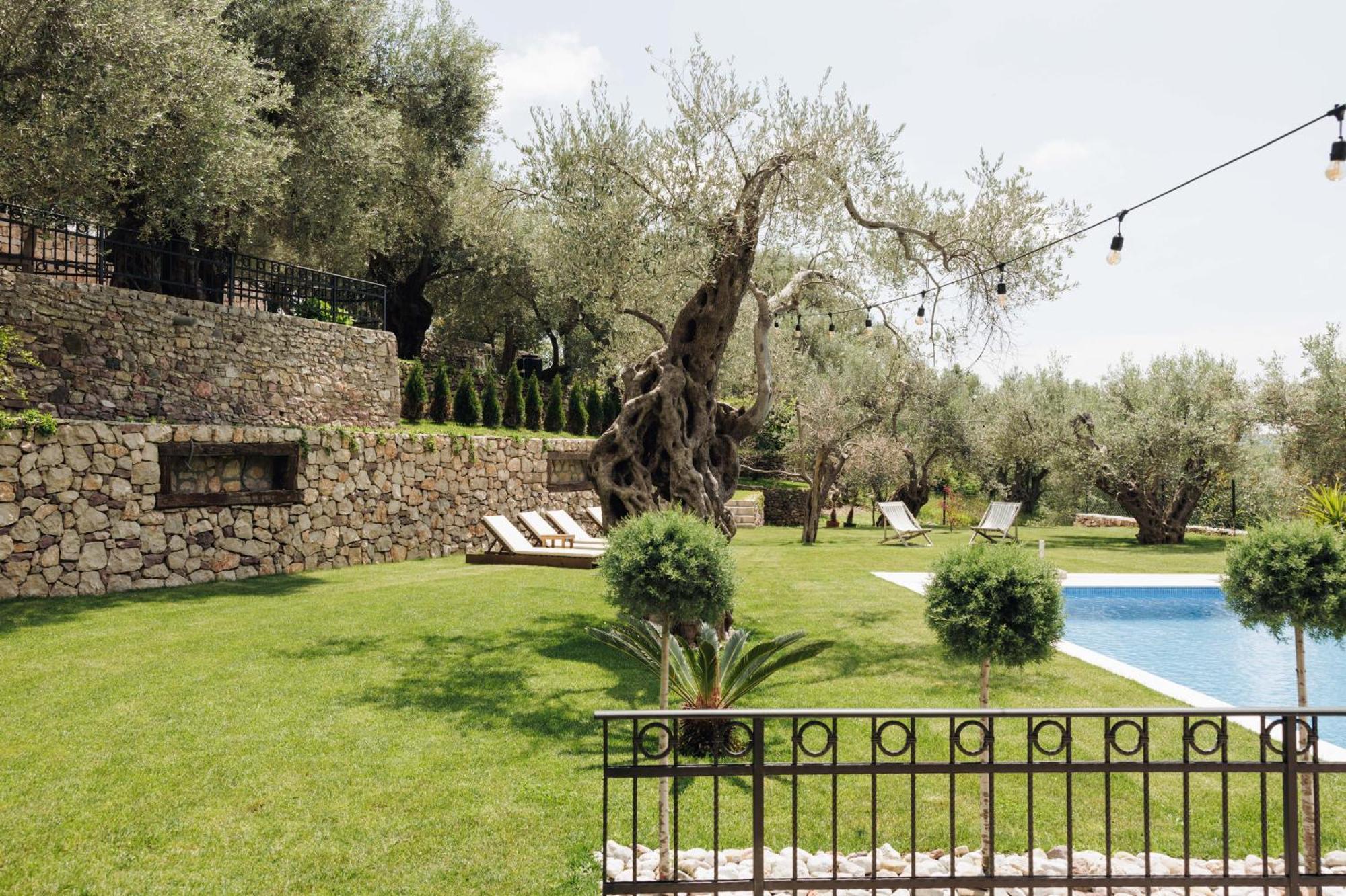 Olive Queen Rustic Estate Bar Exterior photo