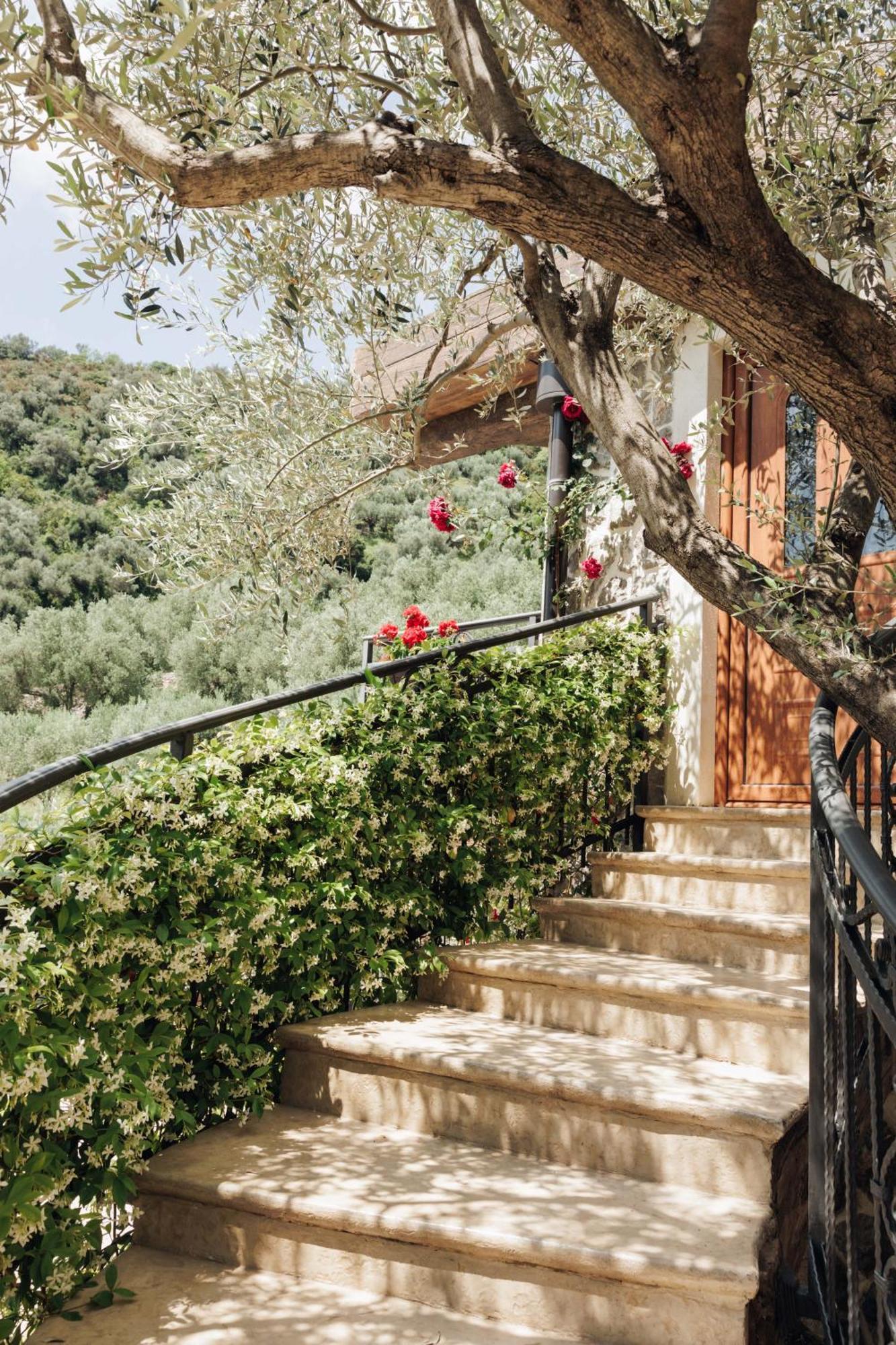 Olive Queen Rustic Estate Bar Exterior photo